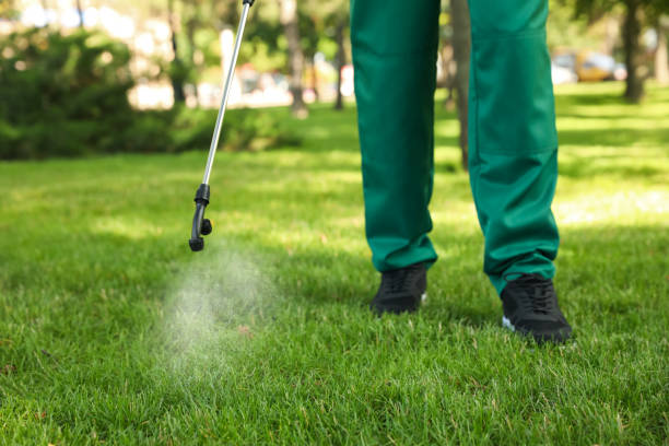 Best Flea Control Services  in Athens, TN