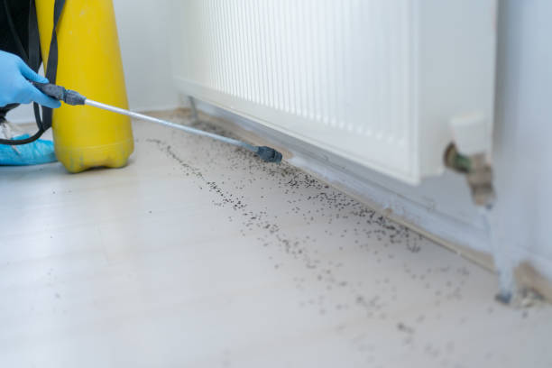 Best Commercial Pest Control Services  in Athens, TN