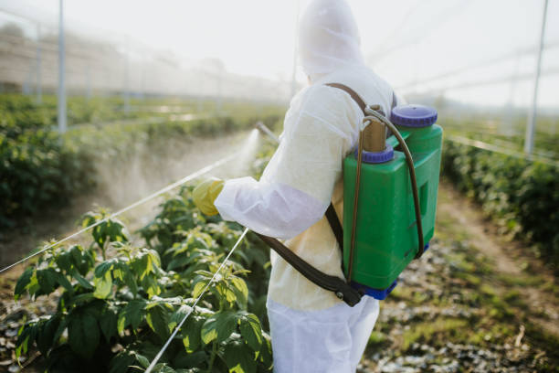Best Emergency Pest Control  in Athens, TN